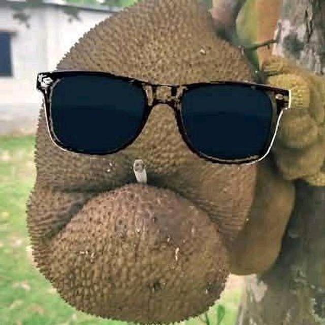 Mehdi Profile Picture